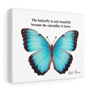 Butterfly on Canvas