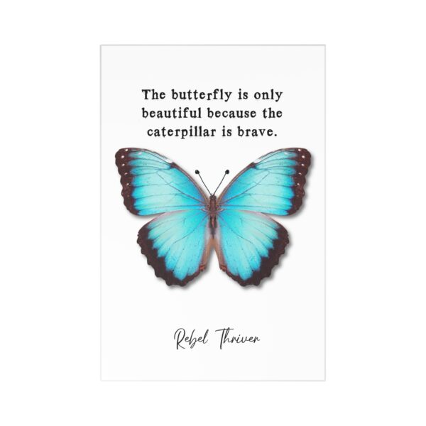 Butterfly Postcards (7 pcs)